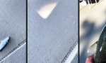 Lustiges Video - Rette den Fisch!