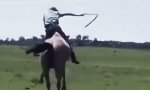 Lustiges Video : Erstmal ne Runde reiten