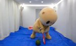 Lustiges Video : Wochenende im Irrenhaus
