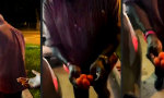Funny Video - Hold my Balls!