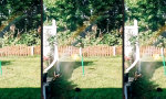 Movie : Tanz den Regenbogen!!!