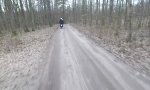 Funny Video - Wildwechsel im Tiefflug