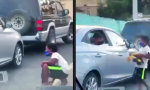 Lustiges Video : Freundschaft für den Moment