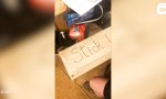 Movie : Hol´z Stöckchen