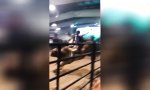 Funny Video : Kräftig aussortieren