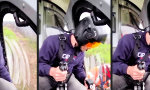 Funny Video - Cooler Job