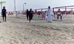 Funny Video : Du kommst hier nicht hoch!