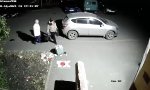Funny Video : Immer diese Rowdies