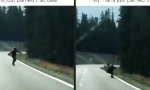 Funny Video : Wahre Standhaftigkeit