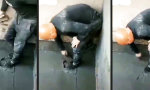 Funny Video - Bis in die letzte Ecke