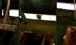 Funny Video : Die Wahl der Qual