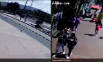 Lustiges Video : Den Coup vermasselt