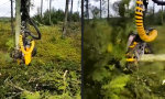 Lustiges Video : Der Gerät schneidet den Baum schweißfrei