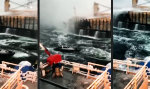 Movie : Sanft im Winde schaukeln