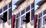 Lustiges Video : Das Fenster zum Hof