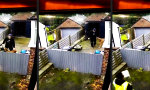 Funny Video - Kurier-Schreck