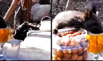 Lustiges Video : Nussig guter Biergeschmack