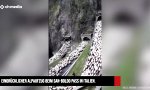 Movie : Alljährliche Tunnelbürstung