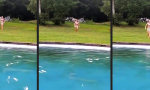 Mit Anlauf baden gehen