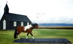 Funny Video - Outhorse your e-mail