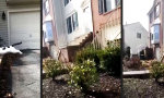 Movie : Metamorphische Katze