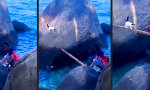 Funny Video - Dabei hatte Mutter gewarnt