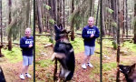 Movie : Ein Spiel für echte Männer