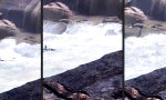 Lustiges Video : Seenotretter