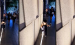 Funny Video : Der leuchtende Pfad
