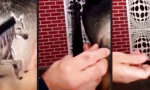 Lustiges Video : Pferdeschwanz war gestern