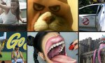 Fun Pic - Donnerstag Fun PicDump #482
