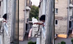 Movie : Gerad noch auf dickes Fell gemacht