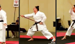 Funny Video - Kung-Fu Pandas cholerischer Zwilling