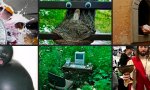 Fun Pic - Donnerstag Fun PicDump #507