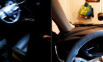 Lustiges Video : Der Meister hat Urlaub