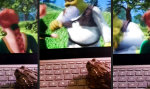 Lustiges Video : Genug gesehen