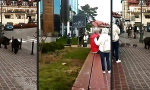 Funny Video : Auf Wandertag in der Zivilisation