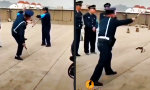 Lustiges Video : Kein Kung Fu mit Hundefängern