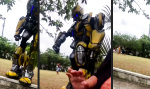 Funny Video - Go home, Bumblebee, you´re drunk