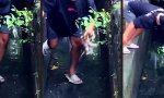 Funny Video : Wenn gute Taten ins Wasser fallen