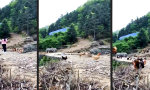 Lustiges Video : Schon ist der Hunger verflogen