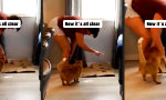 Funny Video - Ach, so geht das