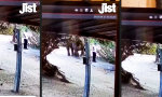 Lustiges Video : Wenn’s hinten kracht, wird’s vorne schnell
