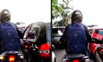 Funny Video : Hilfsbereit bis die Schwarte knackt