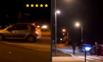 Funny Video : Täuschungsmanöver für Profis