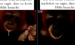 Beziehungen, in denen man einfach machen lässt