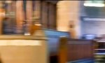 Lustiges Video - Trauzeuge auf vier Beinen