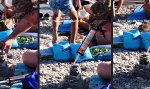 Lustiges Video : Langeweile am Strand kennt er nicht