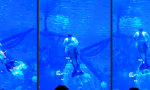 Movie : Neptuns Geheimwaffe
