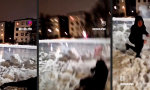 Funny Video : Feuerwerk schlägt zurück